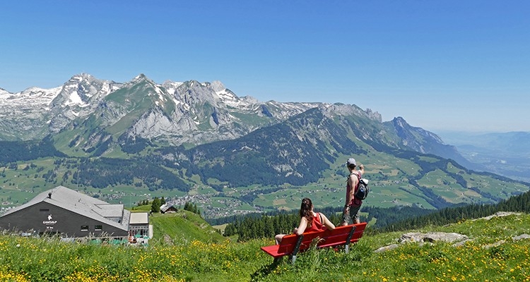 Bergbahnen Wildhaus