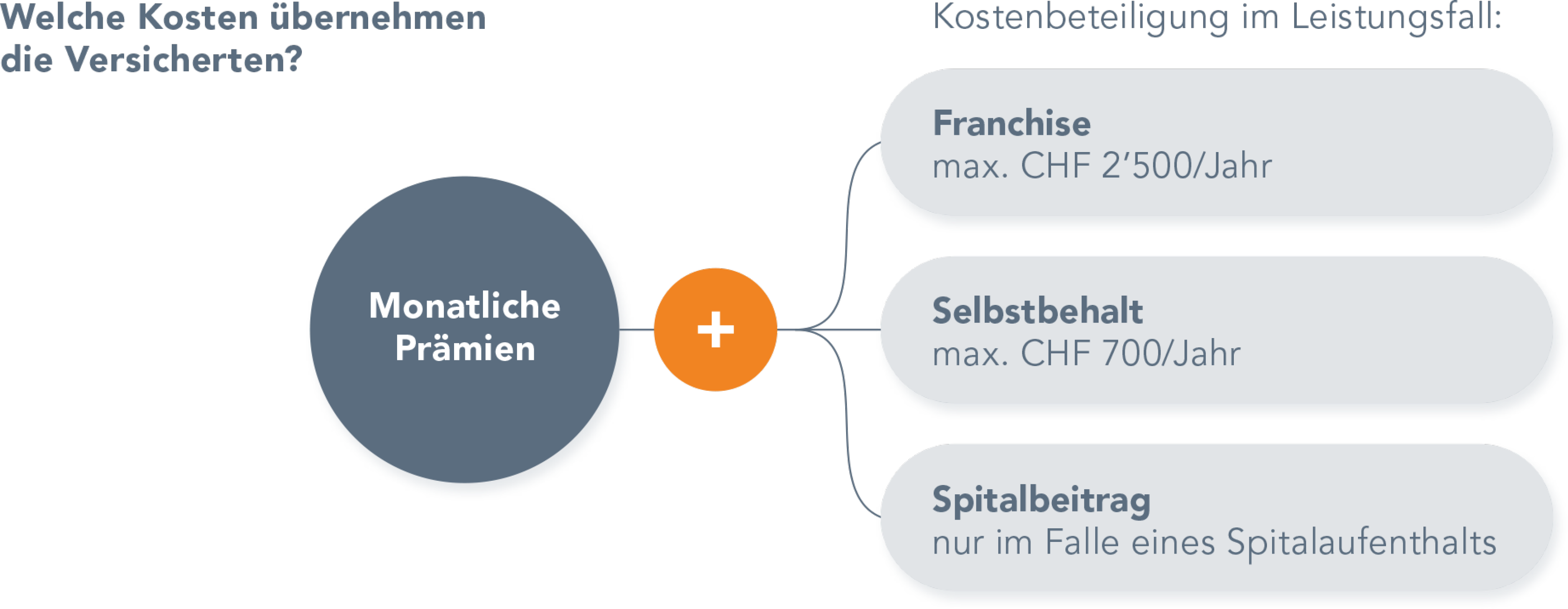 Neu in der Schweiz - Diagramm zeigt, welche Kosten die Versicherten übernehmen.