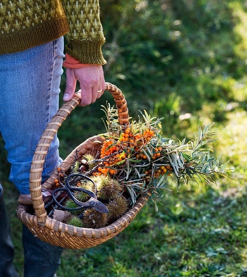 Wildpflanzen Gerichte Essgeschenke Wald