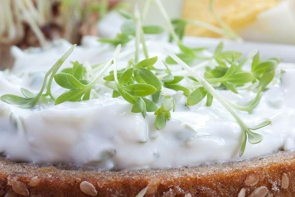 Brot mit Kresse-Quark-Brotaufstrich