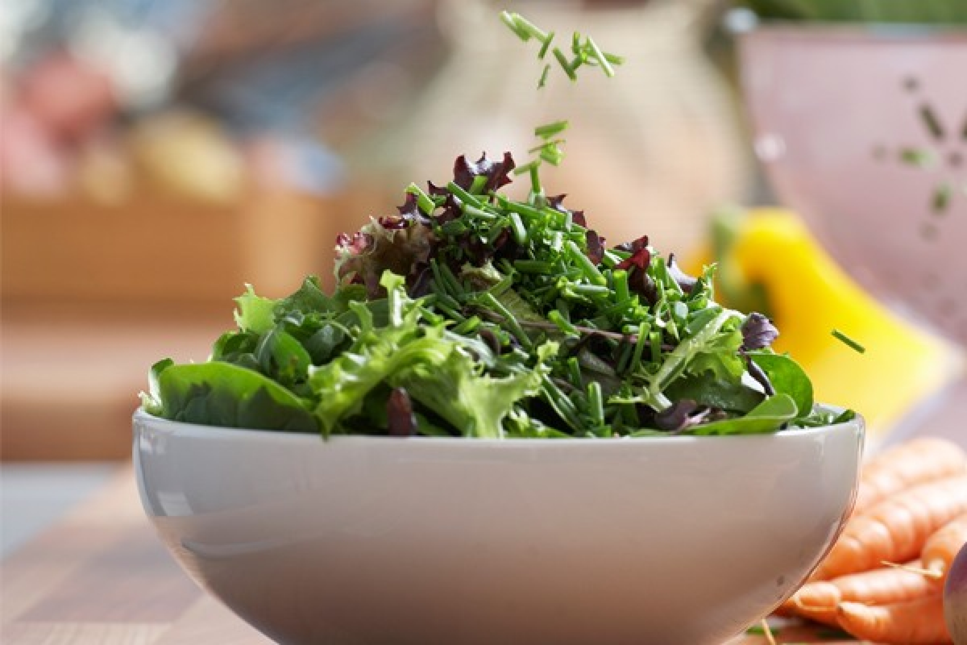 Ein Topf mit Pimpinelle, einer krautige Pflanze mit sehr feinen Blättchen. Ihr Die Pimpinelle passt frisch zu Salat, wie dem abgebildeten gemischten grünen Salat.