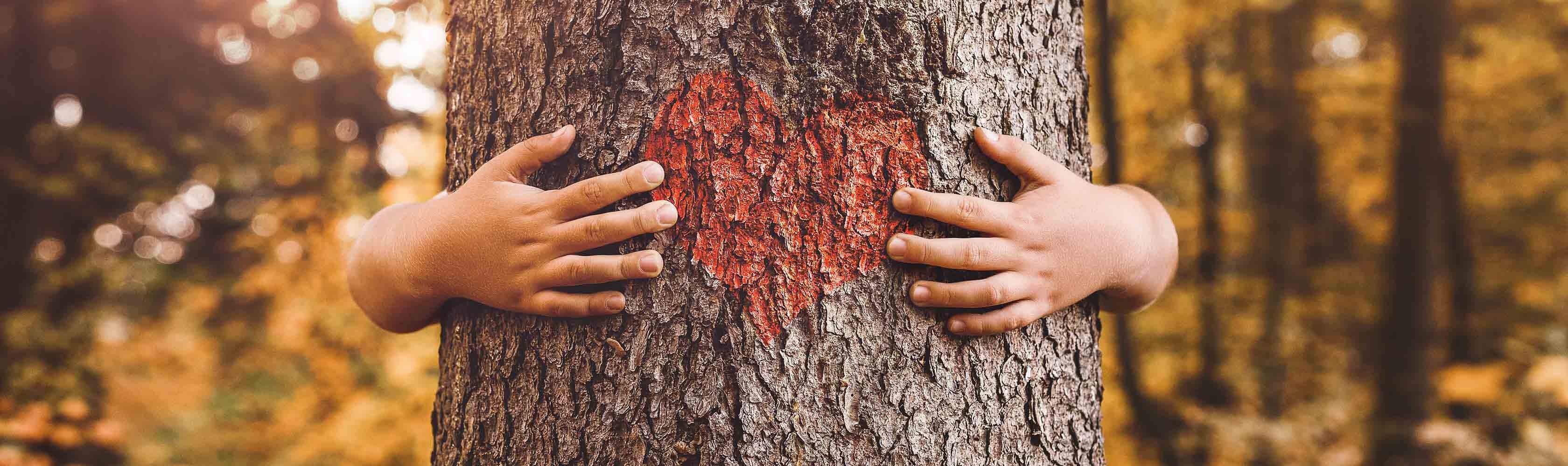 Ein Kind umarmt einen Baumstamm. Sicherheit und Geborgenheit ist für Kinder wichtig.